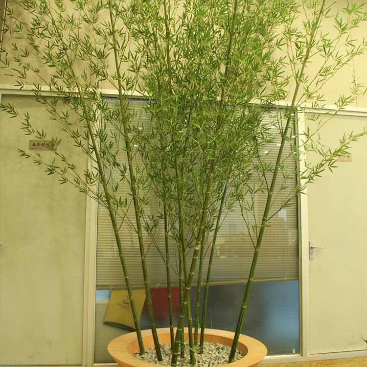 Artificial Bamboo Tree