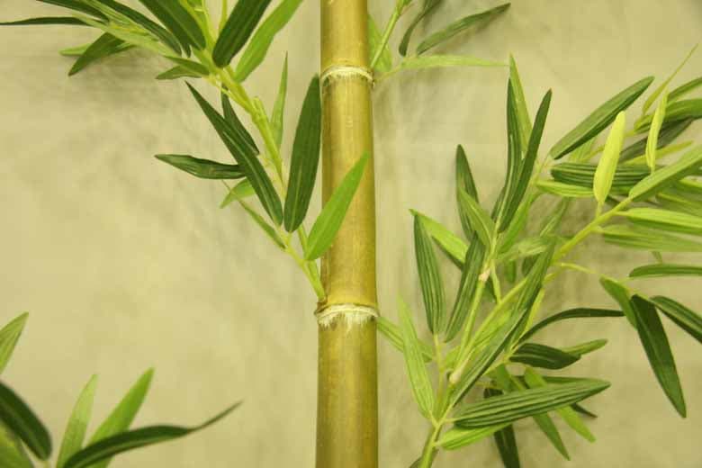 Pictures of the Artificial Bamboo Trees with Trunks And Leaves