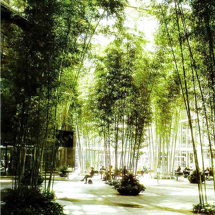 Artificial Bamboo Tree