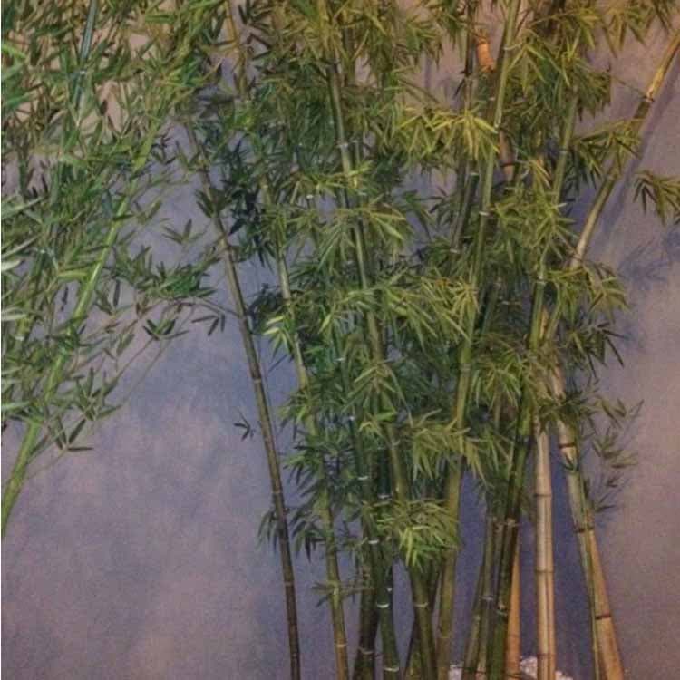 Artificial Bamboo Tree