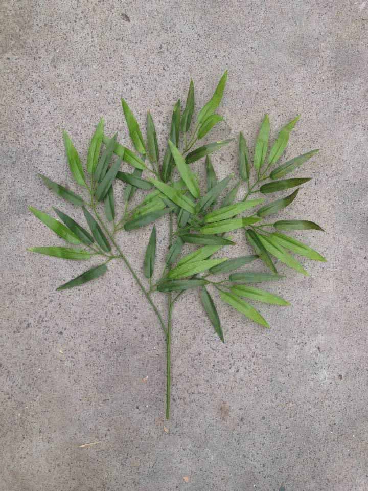 Detailed Picture of Plastic Bamboo Leaves