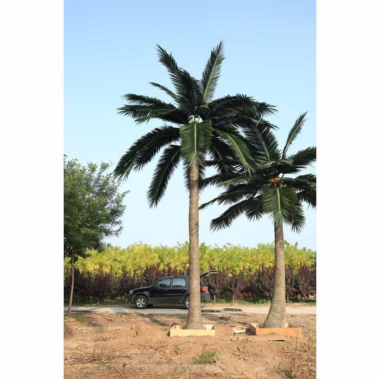 Artificial Coconut Tree