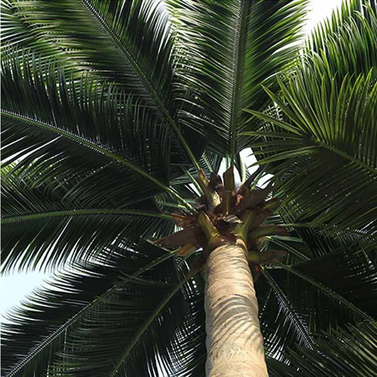 Artificial Coconut Tree