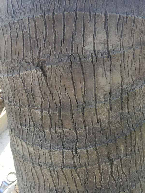 Artificial coconut Trunk