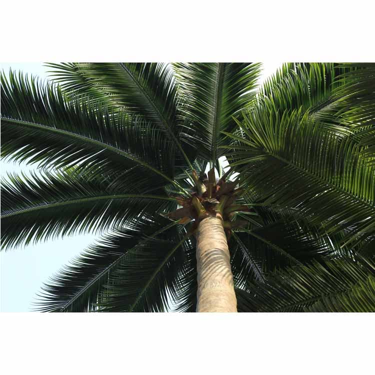 Artificial Coconut Tree