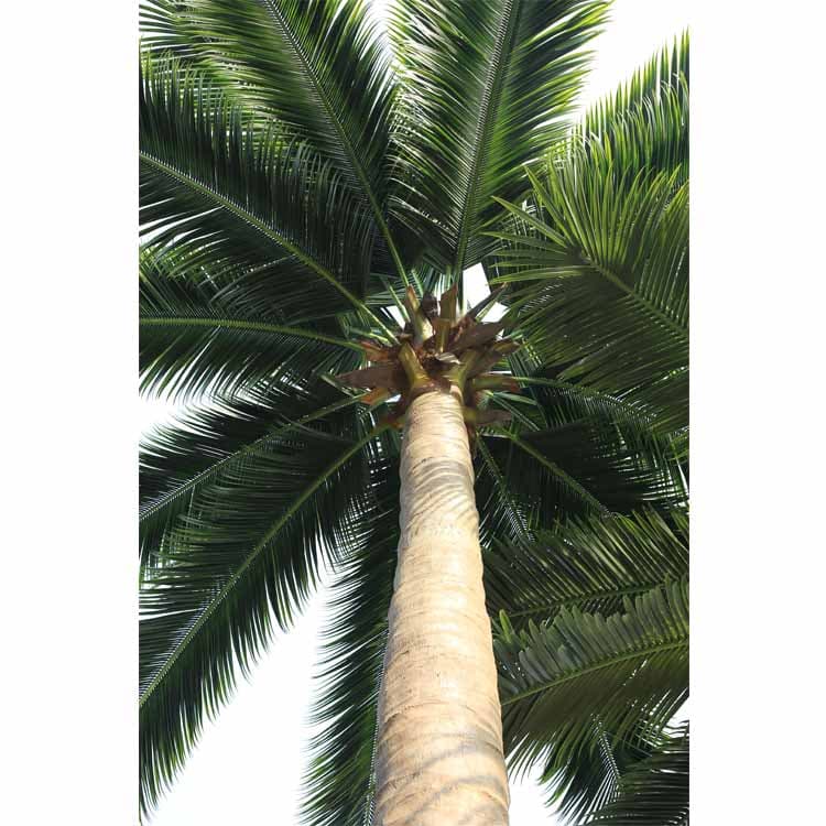 Artificial Coconut Tree