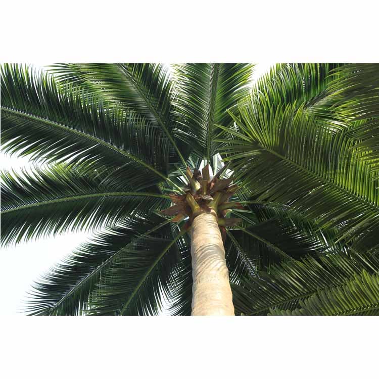 Artificial Coconut Tree