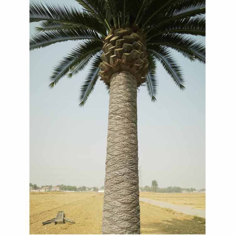 Artificial Date Palm