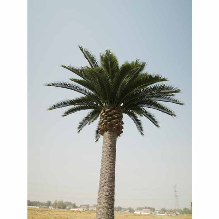 Artificial Date Palm