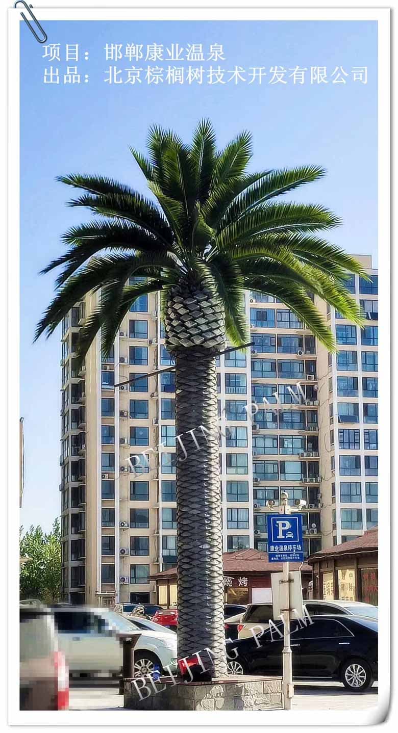 Outdoor artificial date palm for building