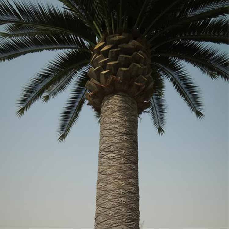 Artificial Date Palm