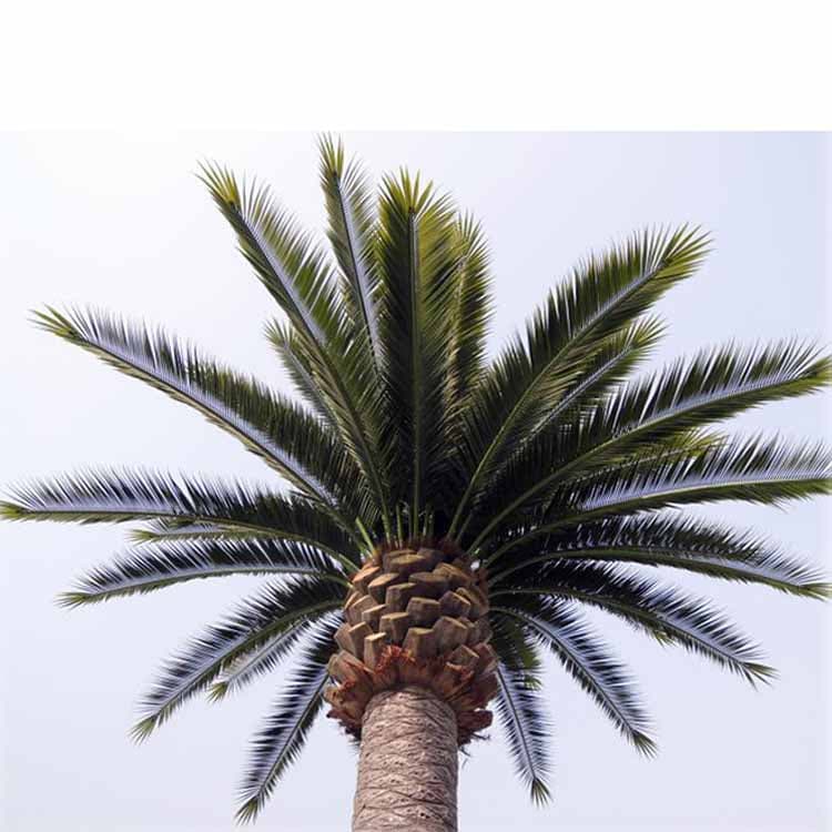 Artificial Date Palm