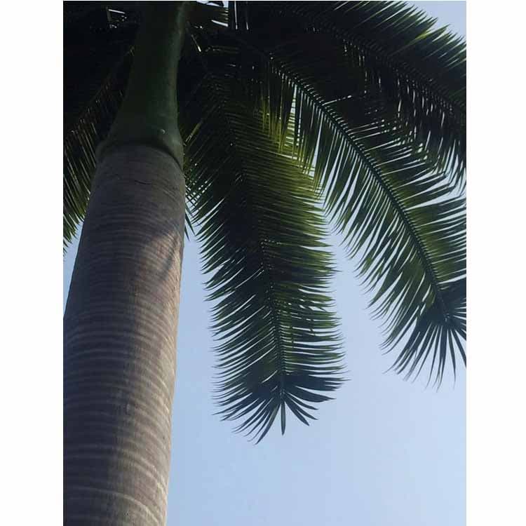 Artificial Royal Coco Palm