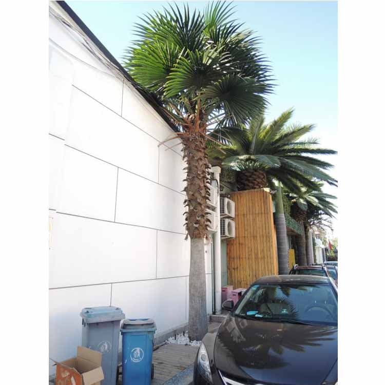 Artificial Washington Palm Tree