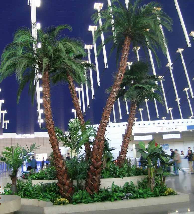 Two groups of preserved date palm for Sichuan Train Station