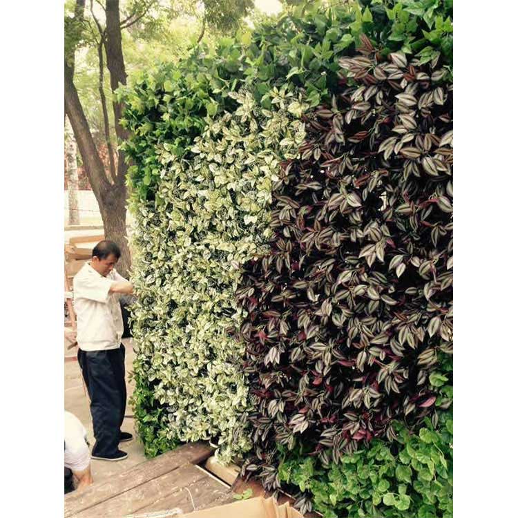 Artificial Plant Wall