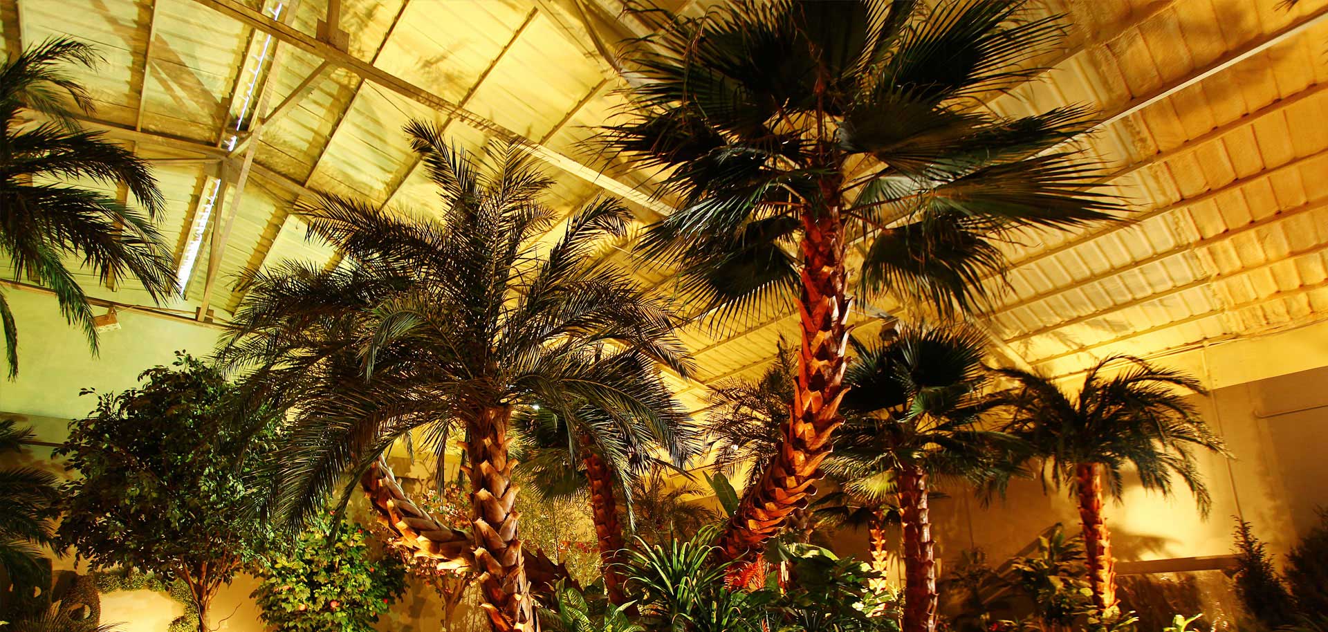 Decorative Fake Green Trees/Artificial Plants Wall & Bush Manufacturer/Supplier/Factory