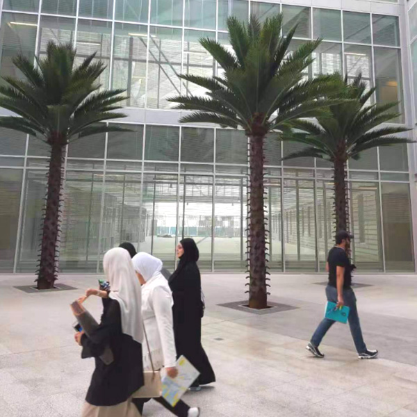 New Kuwait University Outdoor Artificial Palm Tree Project