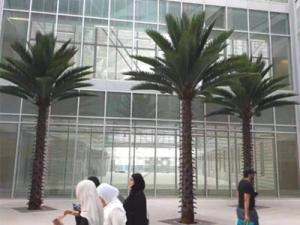 New Kuwait University Outdoor Artificial Palm Tree Project