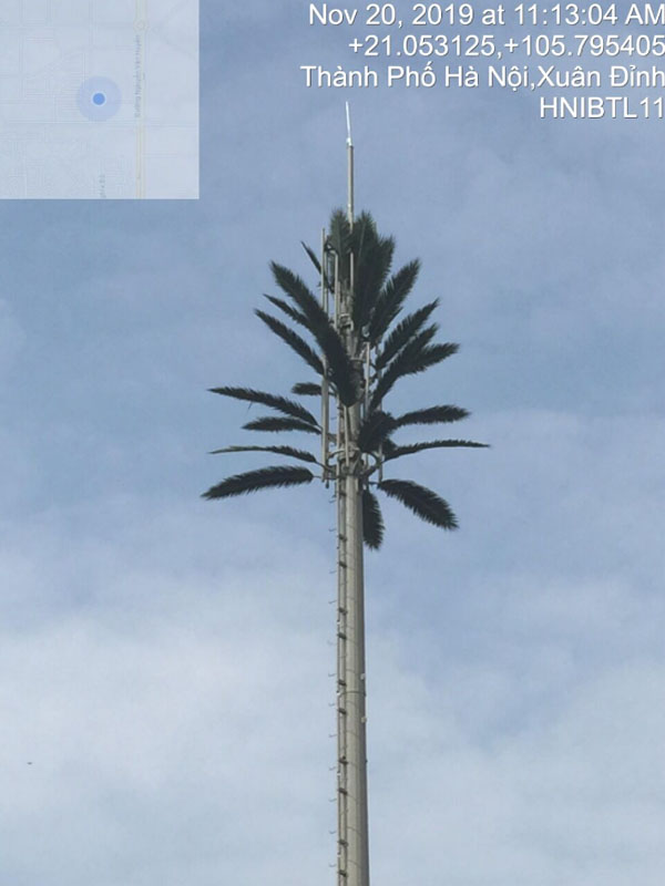 Platic Palm Trees Protects Telecom Tower