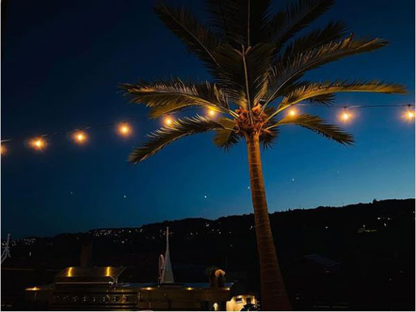 artificial coconut tree at night1