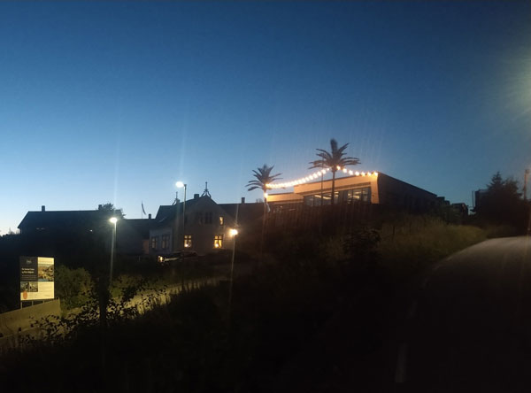 artificial coconut tree at night2