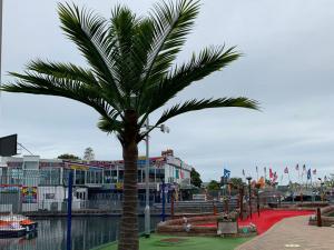Artificial Coconut Tree for UK Customer Golf Course