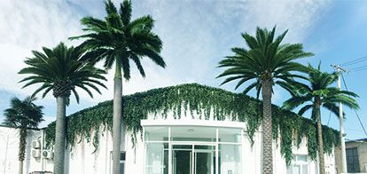 Artificial Tree and Plants